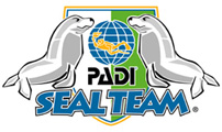 SealTeam.jpg (15052 bytes)