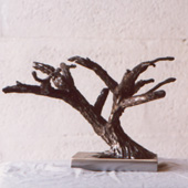 1bonsai.jpg (11982 bytes)